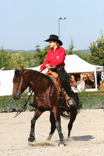 MEC06_1669.jpg