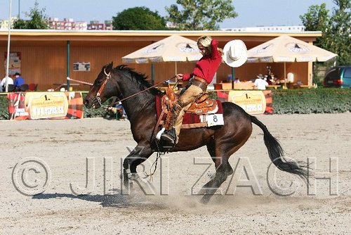 MEC06_1784.jpg