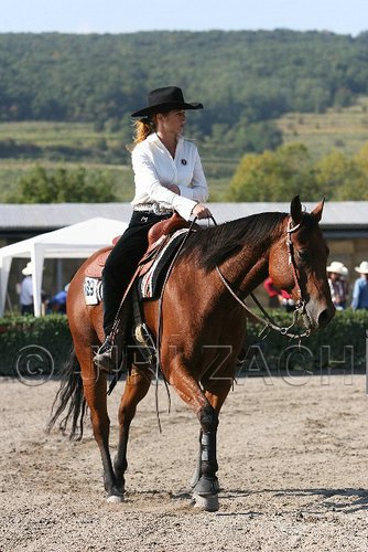 MEC06_1814.jpg