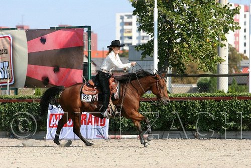 MEC06_1827.jpg