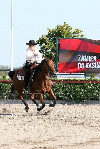 MEC06_1828.jpg