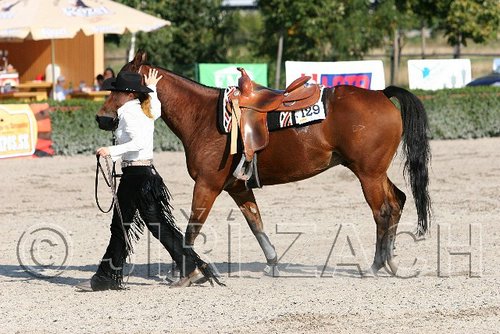 MEC06_1838.jpg