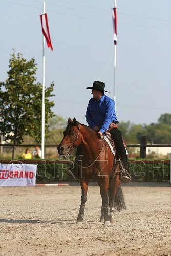 MEC06_1865.jpg