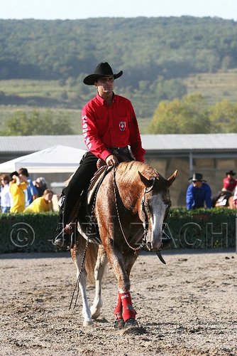 MEC06_2020.jpg