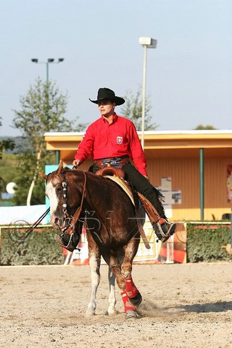 MEC06_2030.jpg