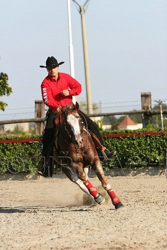MEC06_2032.jpg