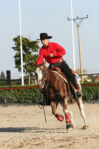 MEC06_2033.jpg