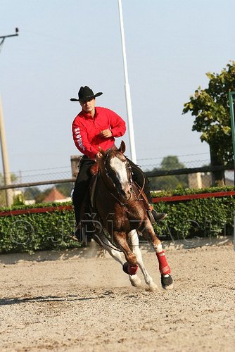 MEC06_2036.jpg