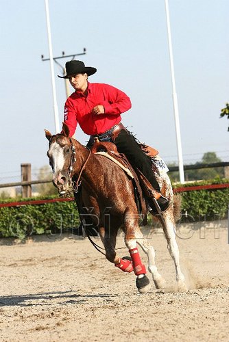 MEC06_2037.jpg