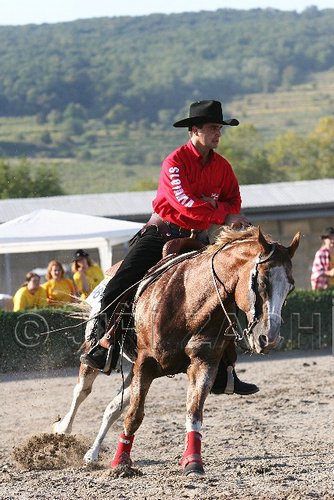 MEC06_2040.jpg