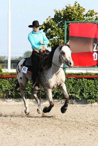 MEC06_2059.jpg