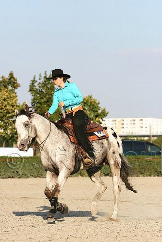 MEC06_2061.jpg