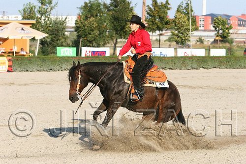 MEC06_2091.jpg