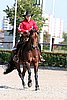 MEC06_1672.jpg