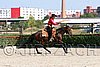 MEC06_1674.jpg