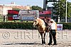 MEC06_1711.jpg