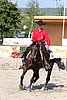 MEC06_1717.jpg
