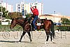 MEC06_1991.jpg