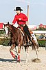MEC06_2034.jpg