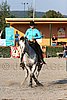 MEC06_2057.jpg