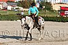 MEC06_2068.jpg