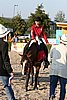 MEC06_2155.jpg