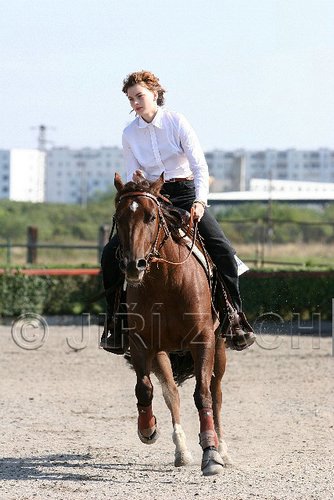 MEC06_1430.jpg