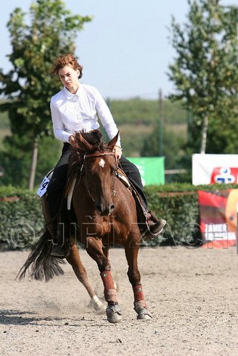 MEC06_1431.jpg