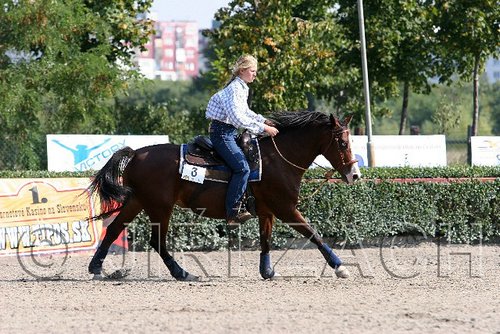 MEC06_1446.jpg