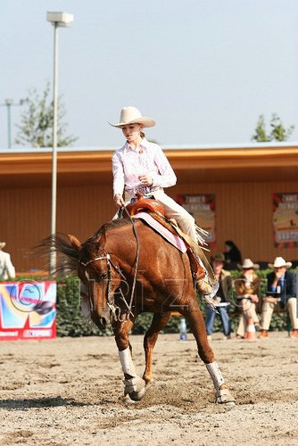 MEC06_1455.jpg