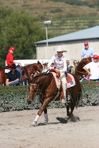 MEC06_1461.jpg