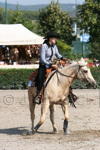 MEC06_1482.jpg