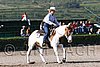 MEC06_1347.jpg