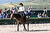 MEC06_1357.jpg