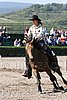 MEC06_1369.jpg