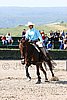 MEC06_1381.jpg