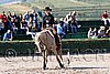 MEC06_1385.jpg