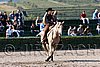 MEC06_1387.jpg