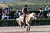 MEC06_1390.jpg