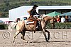 MEC06_1392.jpg