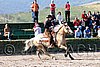 MEC06_1397.jpg