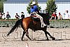 MEC06_1411.jpg