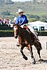 MEC06_1415.jpg