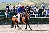 MEC06_1416.jpg