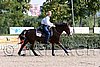MEC06_1446.jpg