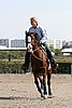MEC06_1447.jpg
