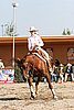 MEC06_1455.jpg