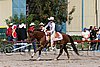 MEC06_1464.jpg