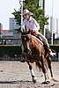 MEC06_1471.jpg