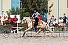 MEC06_1486.jpg